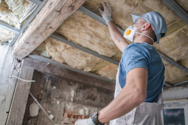 Insulation Replacement Services in Burbank, CA